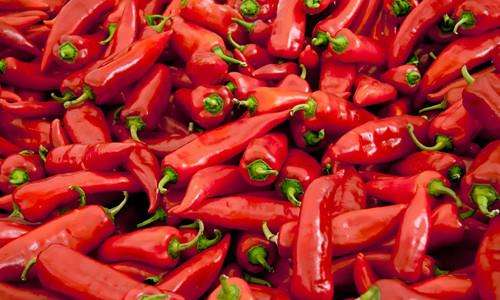 红辣椒