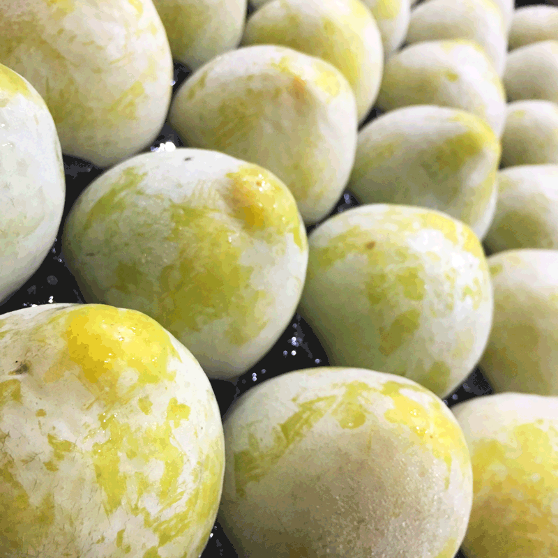 【极致体验】美国绿宝石布林 一款没有酸味的精品李 口感醇正 轻奢