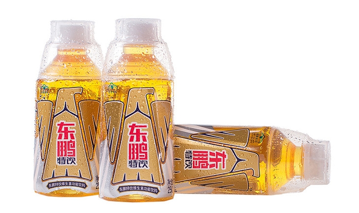 東鵬特飲維生素功能飲料250ml*12瓶