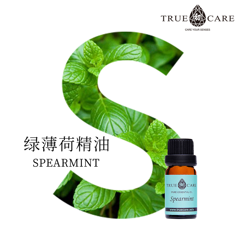 初芳疗true care绿薄荷单方精油10ml 缓解肠胃平衡雄激素香薰按摩