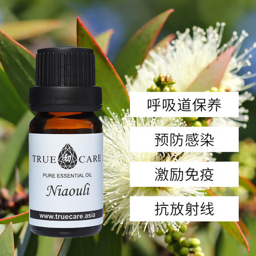 绿花白千层精油10ml防御呼吸道免疫胸腔保养净化抗菌