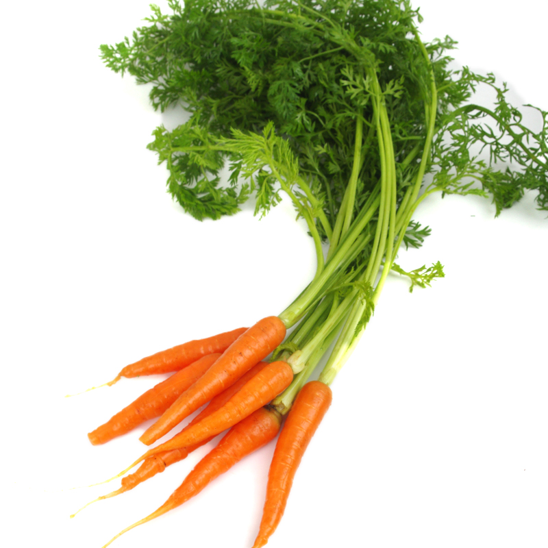 【包邮】枝纯胡萝卜76g*8袋