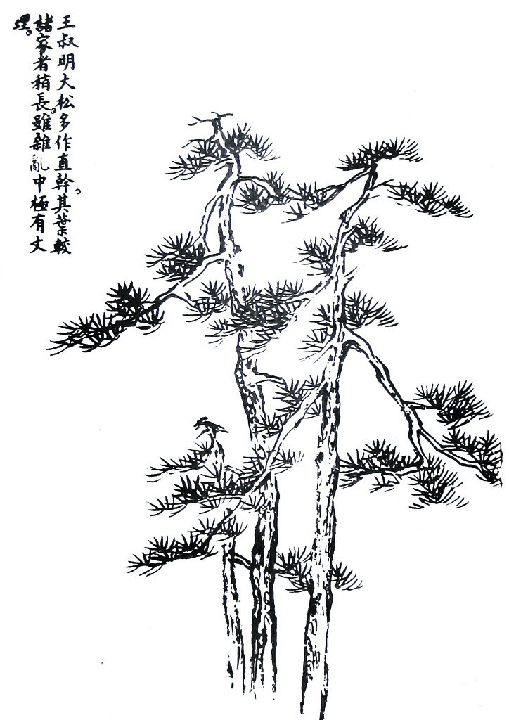 芥子园画谱 吴蓬临本(共三集) 彩色版 吴蓬 国画入门 广西师范大学