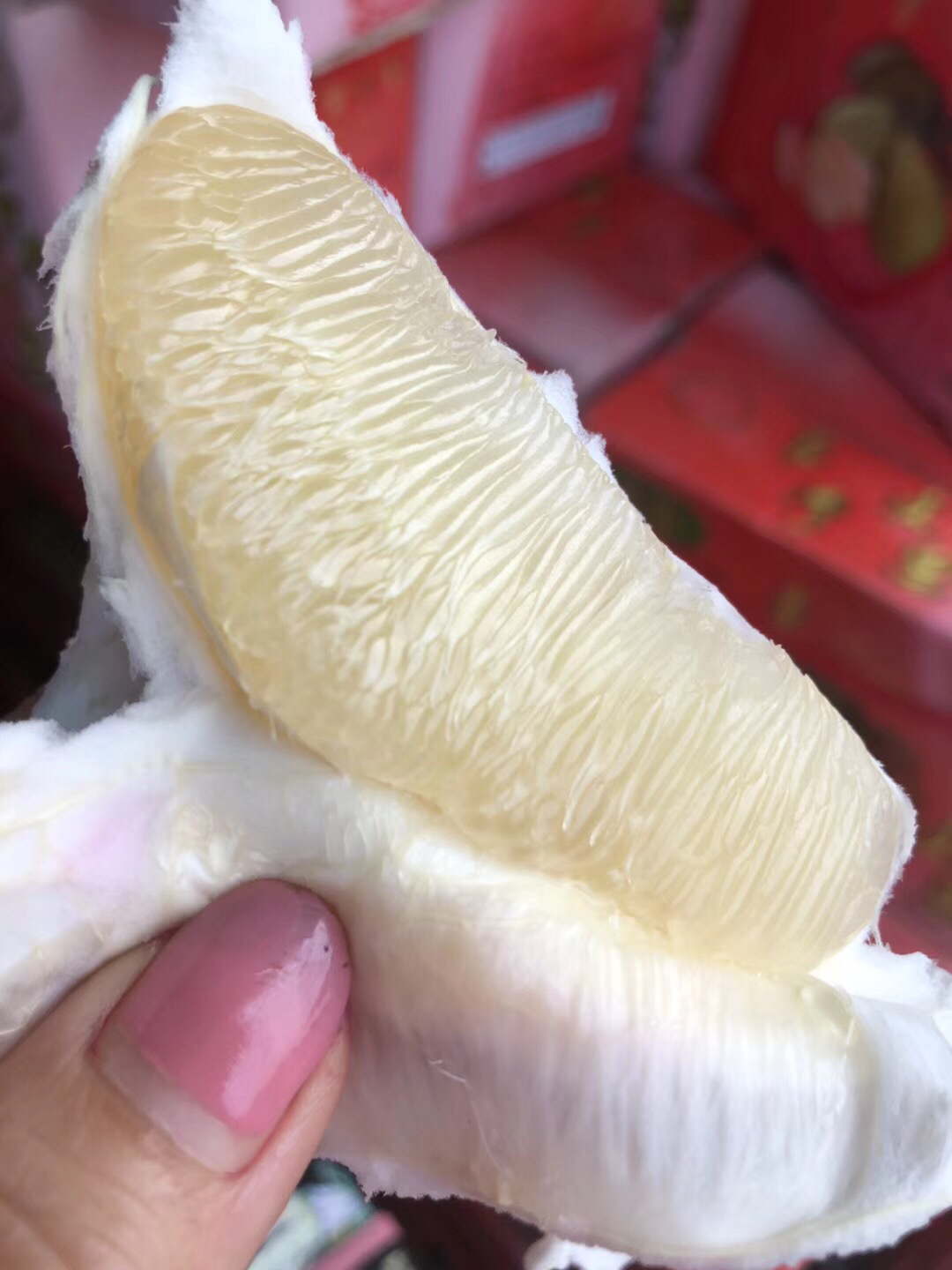 台湾50年老树麻豆文旦树龄 麻旦柚