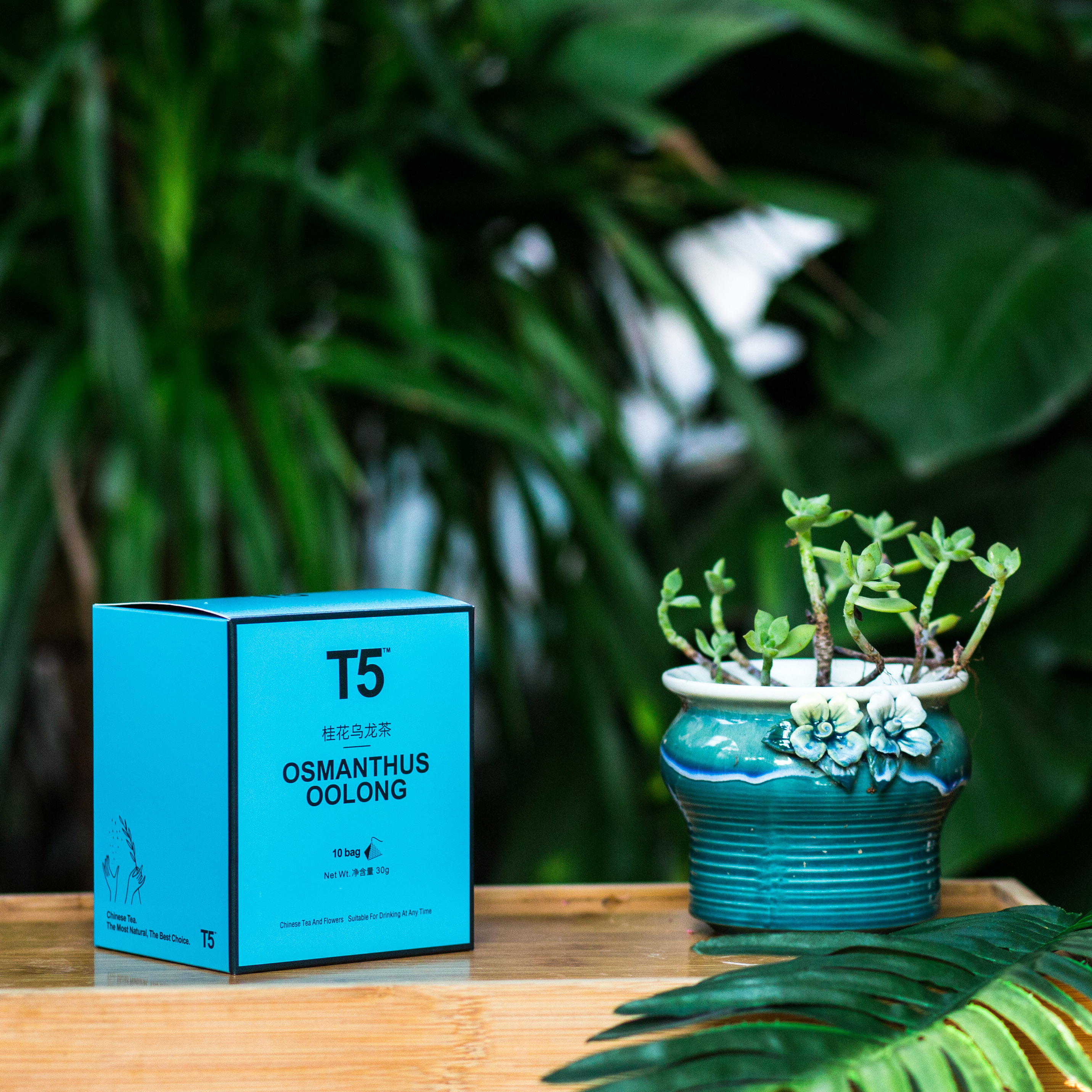 t5 桂花乌龙茶 | osmanthus oolong tea