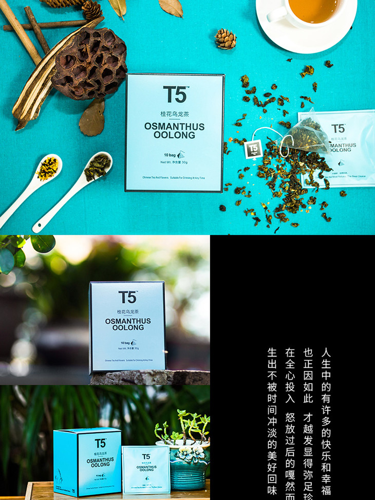t5 桂花乌龙茶 | osmanthus oolong tea