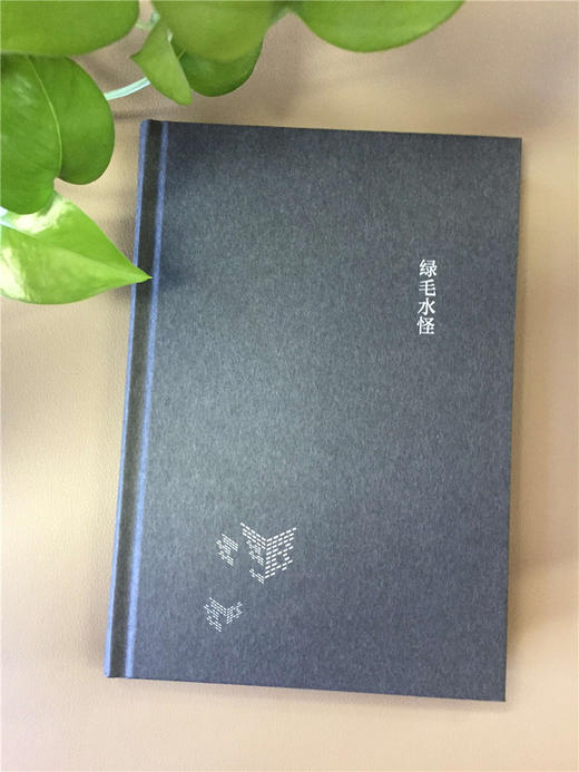 王小波 :绿毛水怪 商品图3
