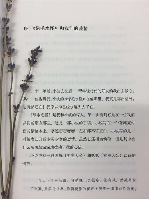 王小波 :绿毛水怪 商品图1