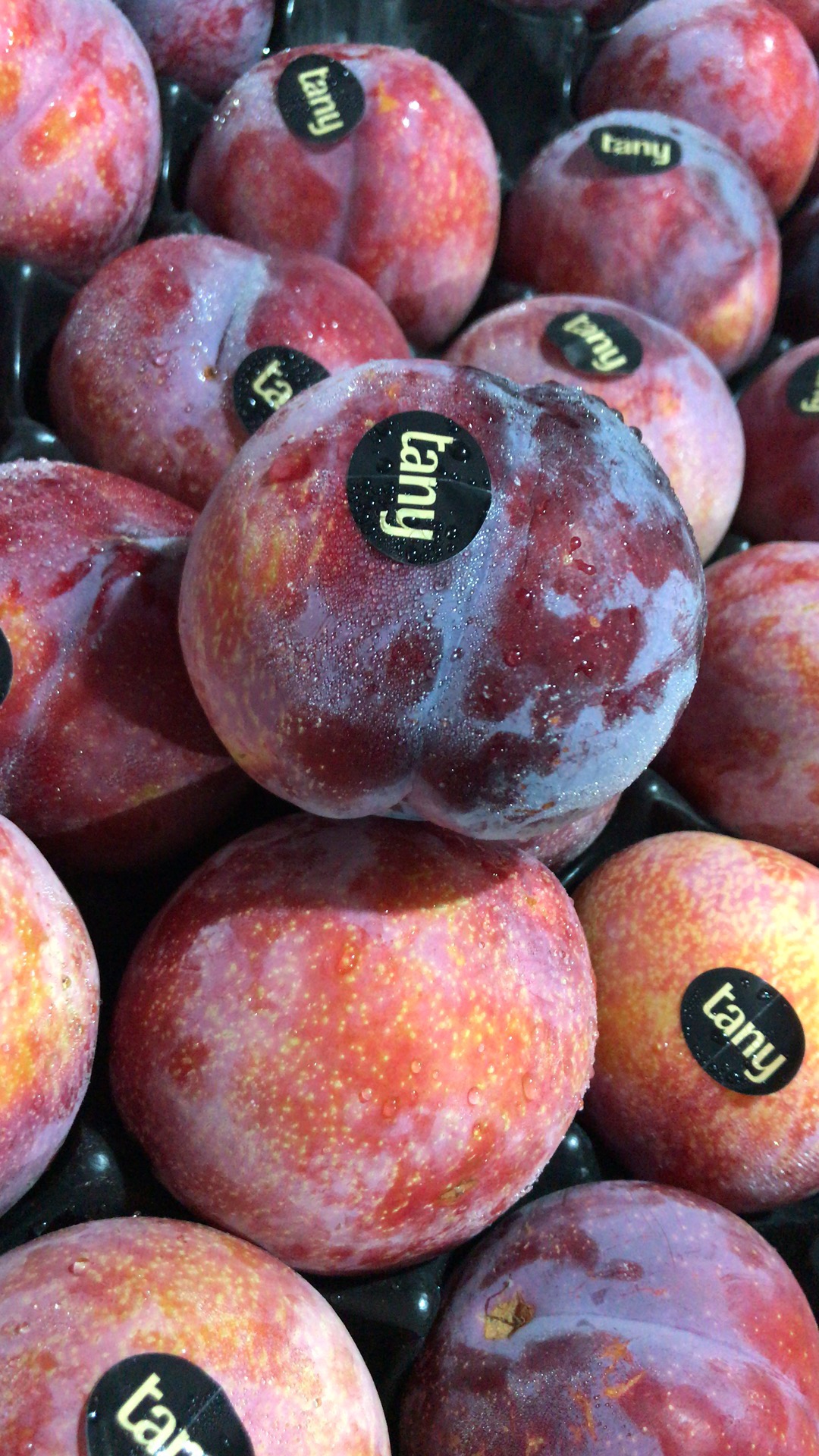 宏丰精选 进口珠宝李 口感脆甜 果肉肥厚