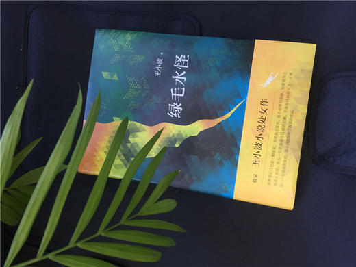 王小波 :绿毛水怪 商品图2