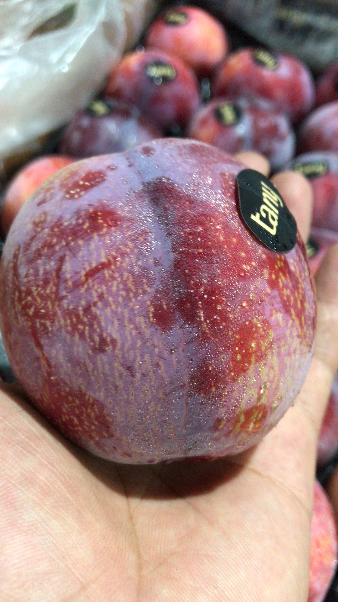 宏丰精选 进口珠宝李 口感脆甜 果肉肥厚