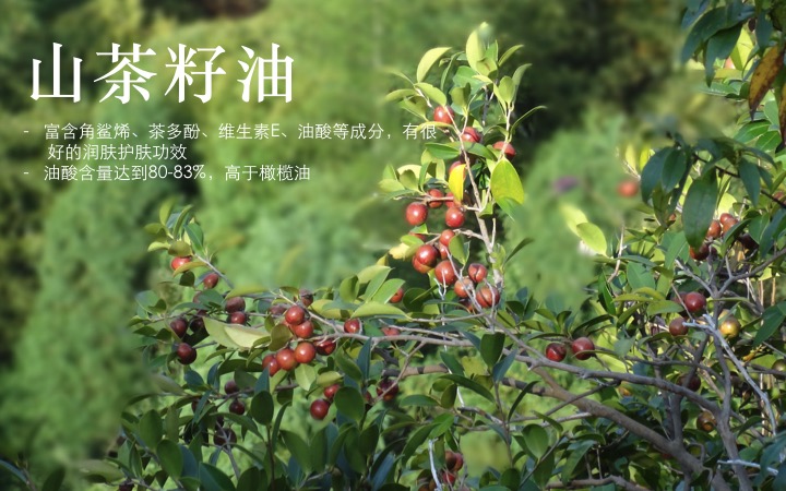 蓓肤安婴儿全身保湿护肤乳(滋润型)80ml和201ml