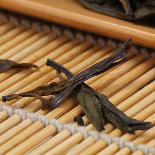 特级嫩叶香草兰纯苦丁茶25g