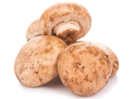 褐菇 牛排菇 约250克