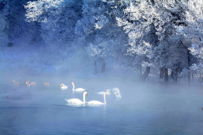 【梦幻新疆】赛里木湖蓝冰及冰雪天鹅湖摄影之旅