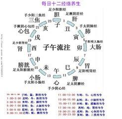 中医讲解十二经络养生 商品图0