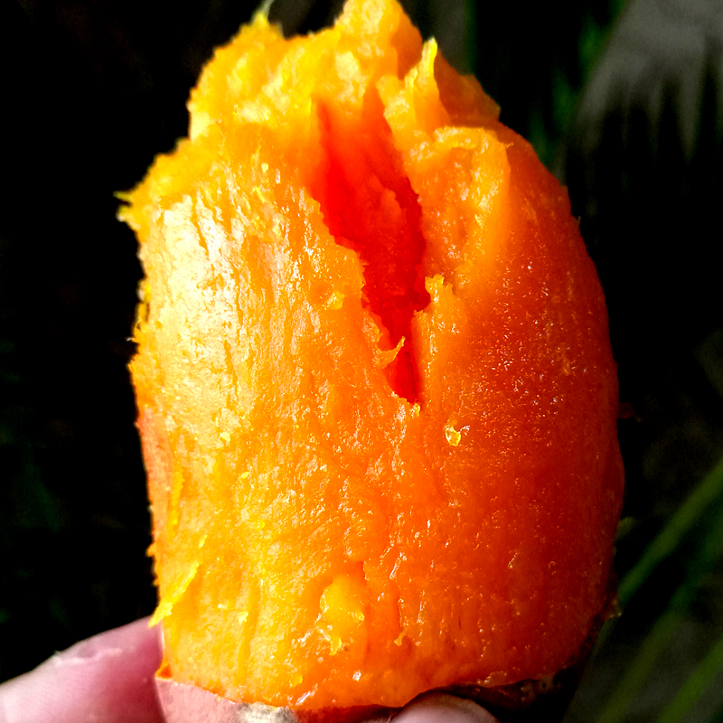 云南高原糖心红薯 4.5~5斤装