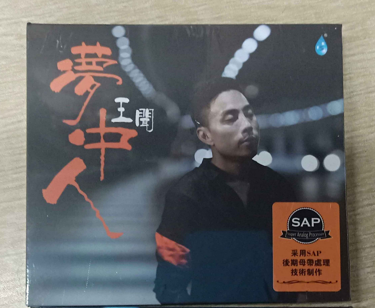 王闻 梦中人 2018新专辑 磁性发烧男声 正版CD