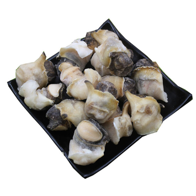 冷冻墨西哥螺头
