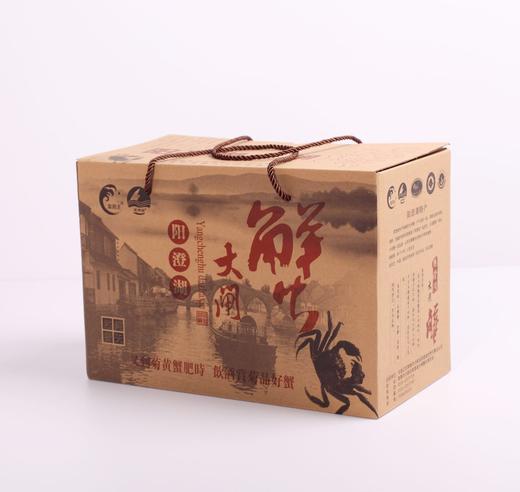 金壳王阳澄湖大闸蟹 商品图2