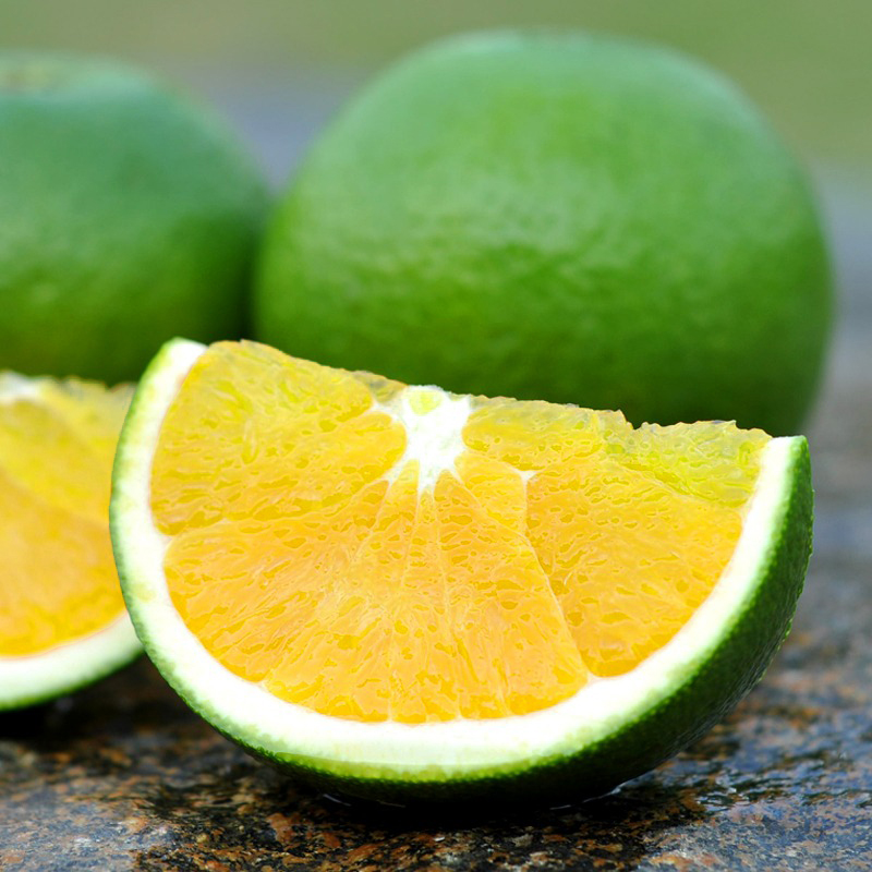 云南冰糖橙5斤装8斤装元江哀牢山绿皮橙子新鲜包邮