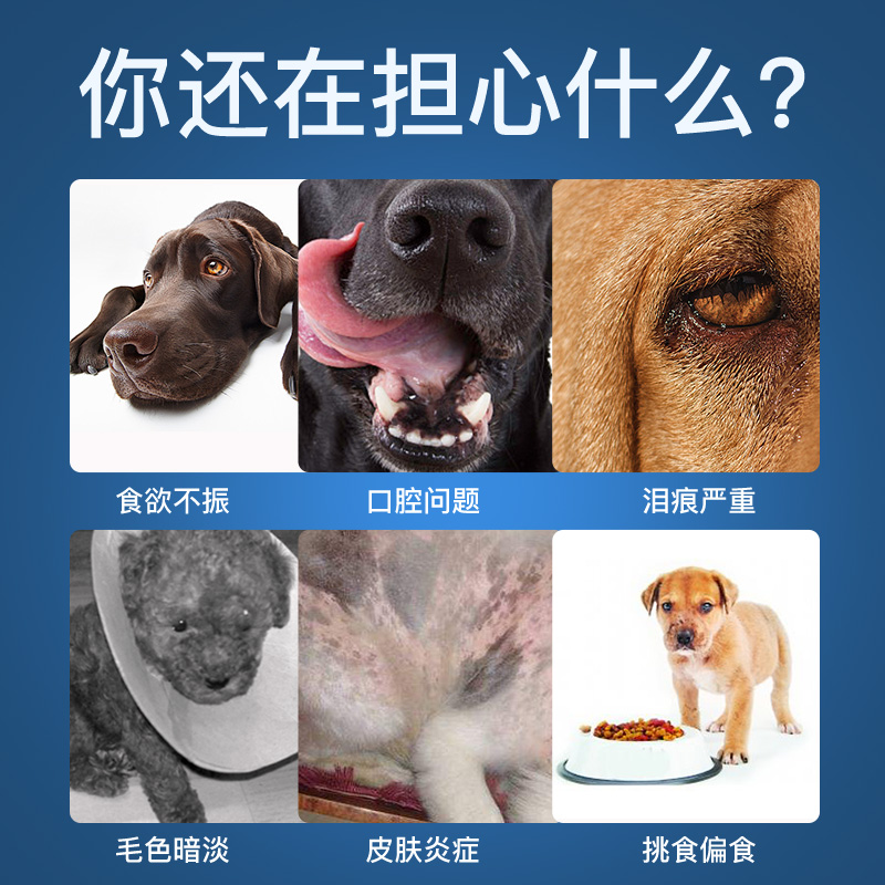 京东joy联名款 耐威克 Navarch 狗粮成犬幼犬通用智利三文鱼犬粮1 5kg