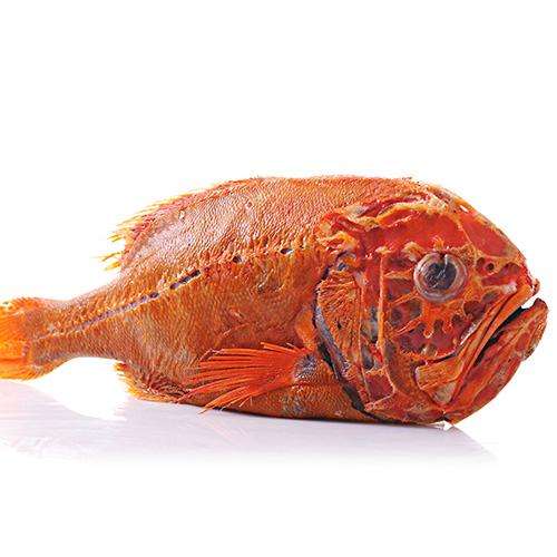 冰鲜 深海长寿鱼