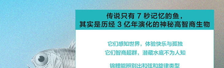 《鱼什么都知道》长海报-最终_08.jpg