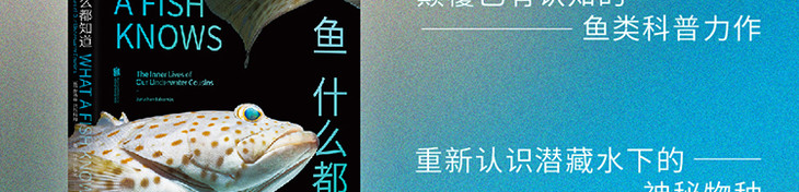 《鱼什么都知道》长海报-最终_05.jpg