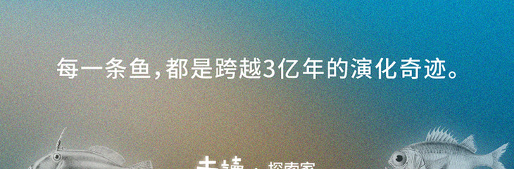 《鱼什么都知道》长海报-最终_12.jpg