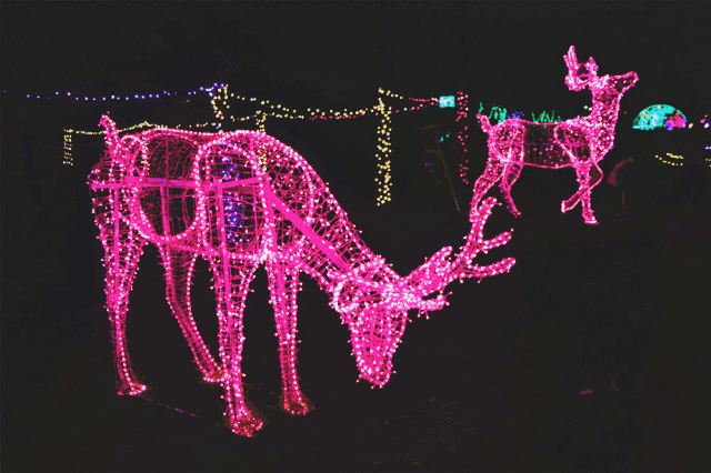 个梦幻唯美的灯光场景 温暖斑斓的灯光映照在脸上 流光四溢的时空隧道