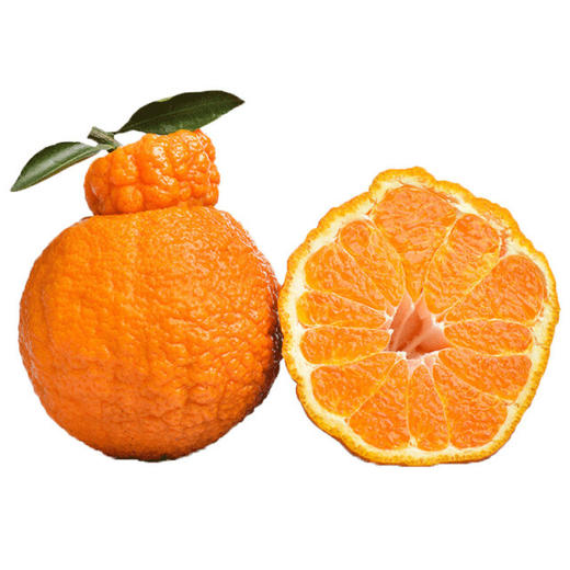 橘柑（五斤装） 商品图0