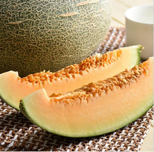 晓蜜哈密瓜（约1600g） 商品图3