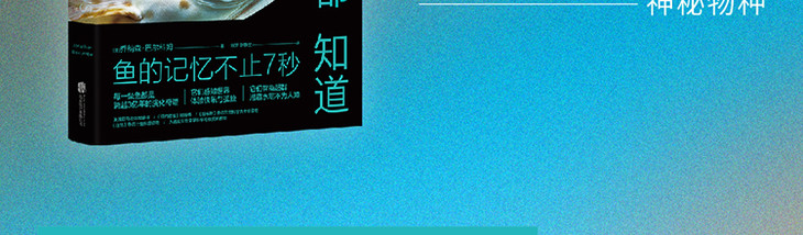《鱼什么都知道》长海报-最终_06.jpg