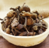 野生榛蘑 商品缩略图0