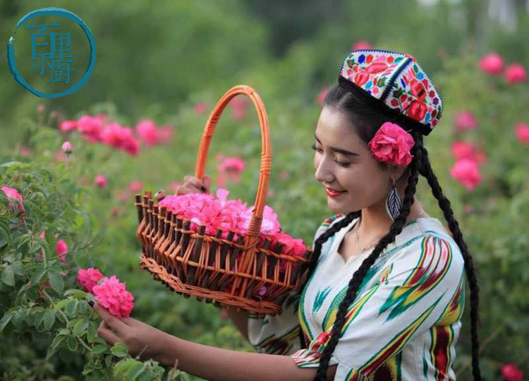 薄皮核桃：核桃界的清新之选