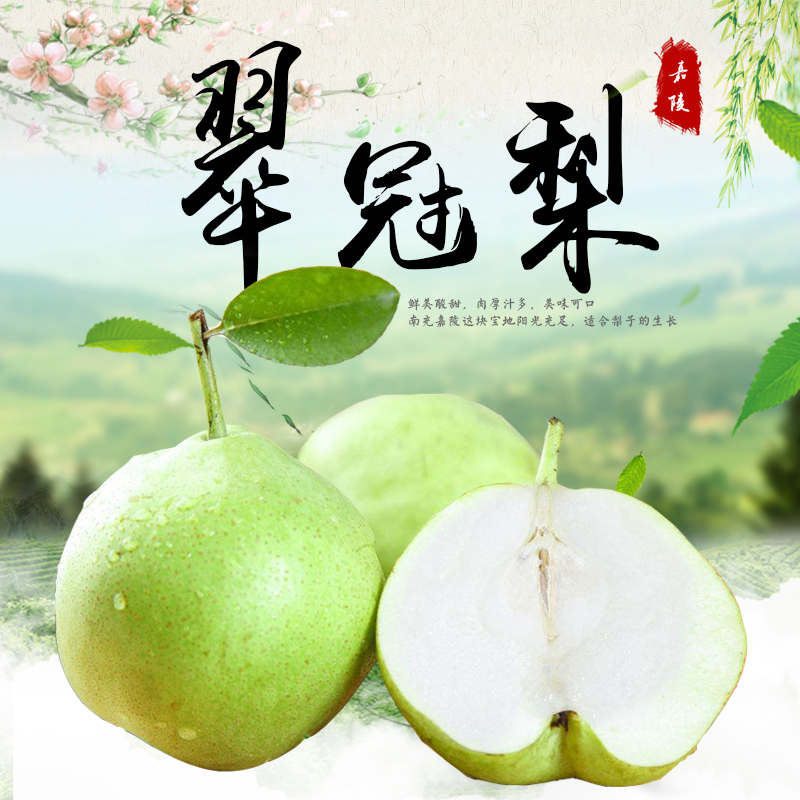 【7月上市】嘉陵集凤翠冠梨5斤