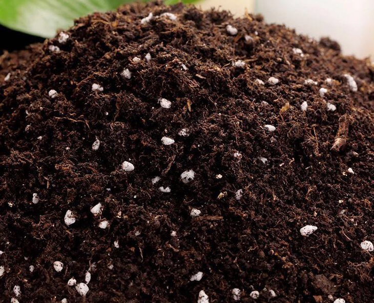 轻质种植土营养土