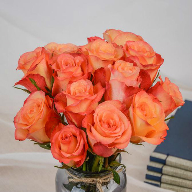 金辉玫瑰 1扎18支/扎 空运包邮