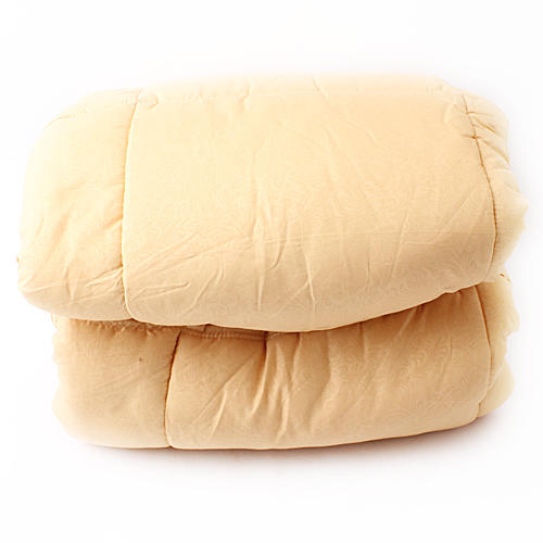 金黄色被子冬被加厚保暖棉被褥学生宿舍春秋被芯太空调被C19 商品图0