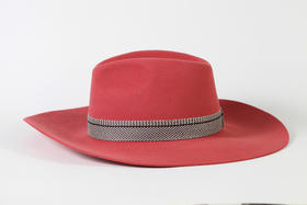 进口毡帽 | 中性款 | 31184105013