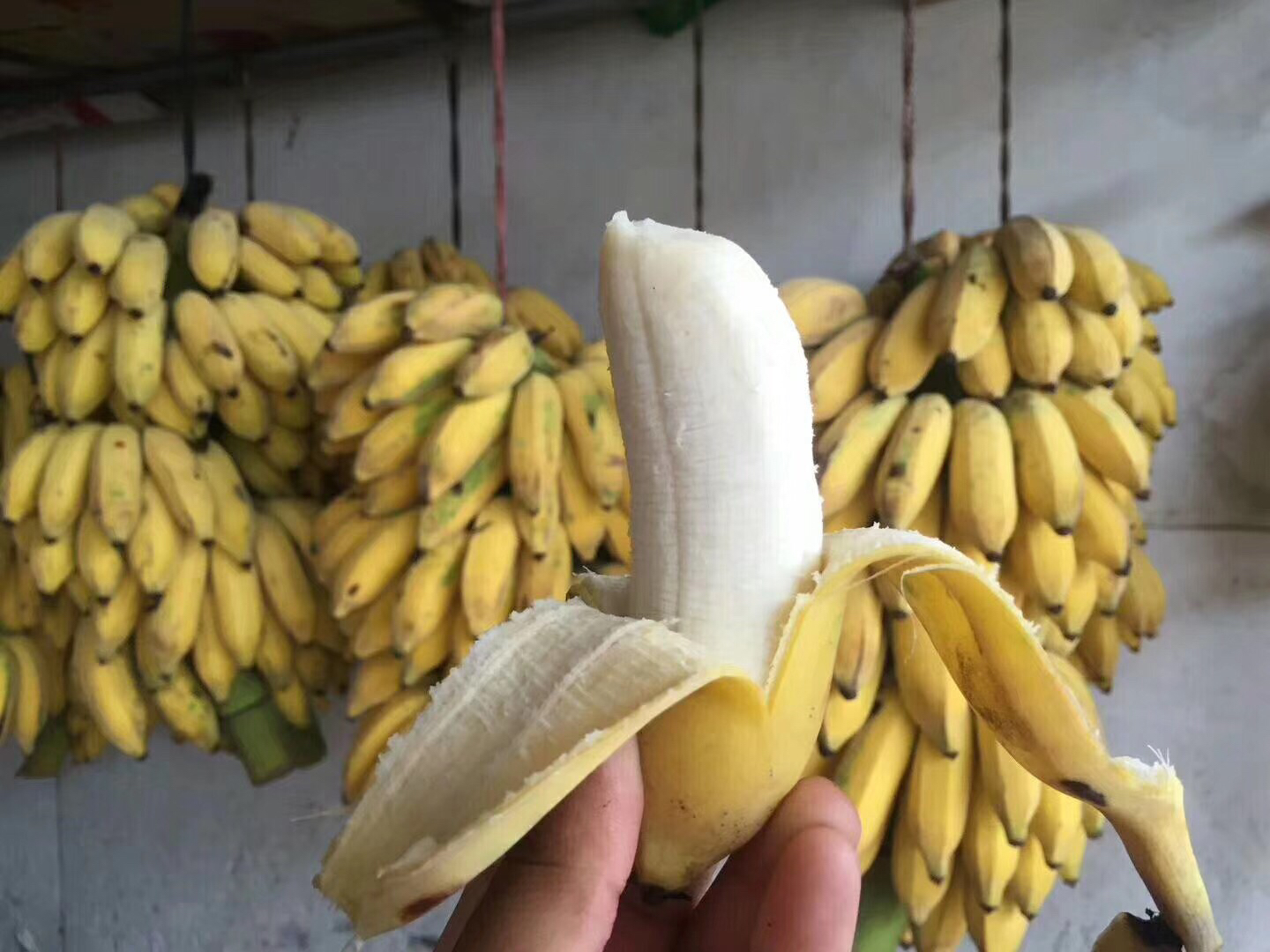 海南蛋蕉:直发5斤装58元包邮到家!