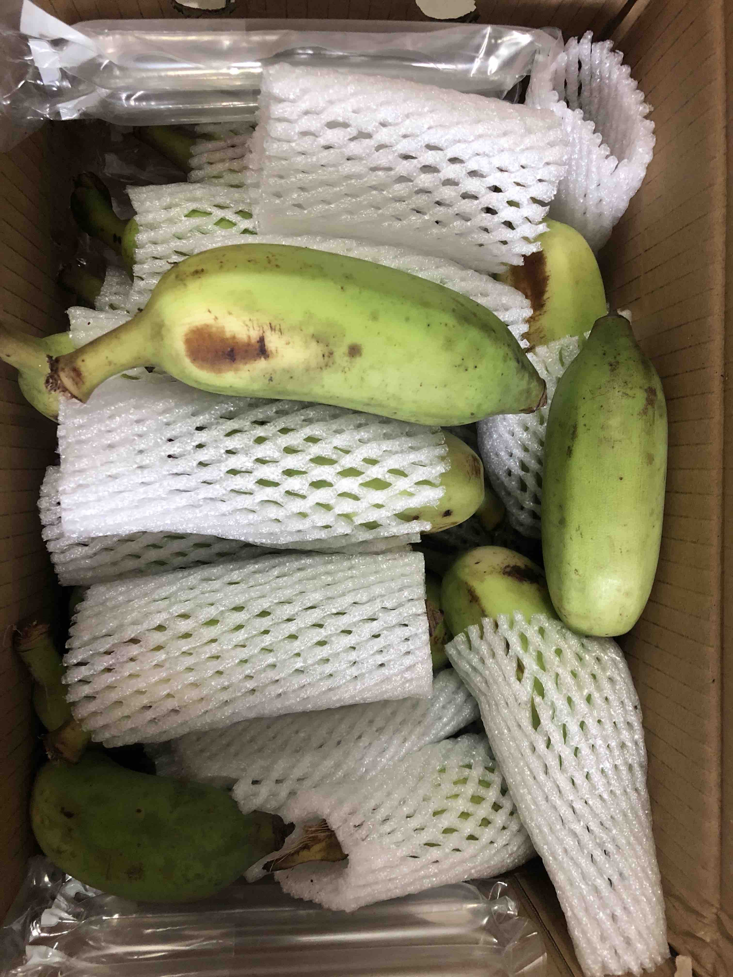 海南蛋蕉:直发5斤装58元包邮到家!