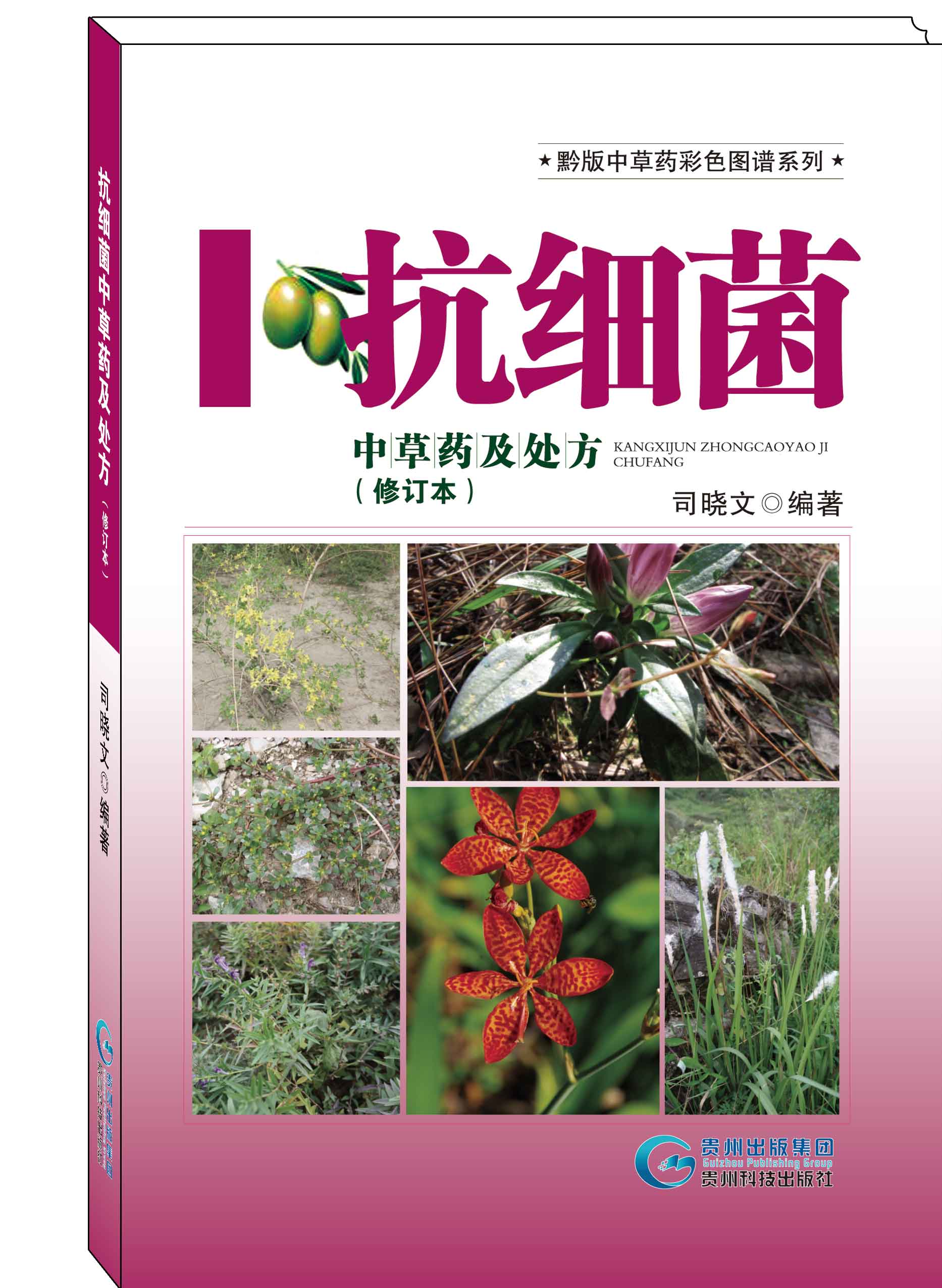 抗细菌中草药及处方(修订本)