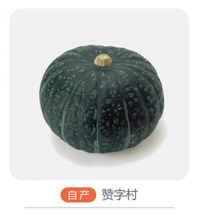 南瓜（哈尔滨）