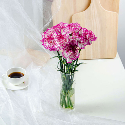 单头康乃馨 1扎15支 空运包邮