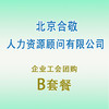 员工团购套餐B（北京合敬） 商品缩略图0