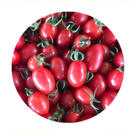 串柿子 商品图0