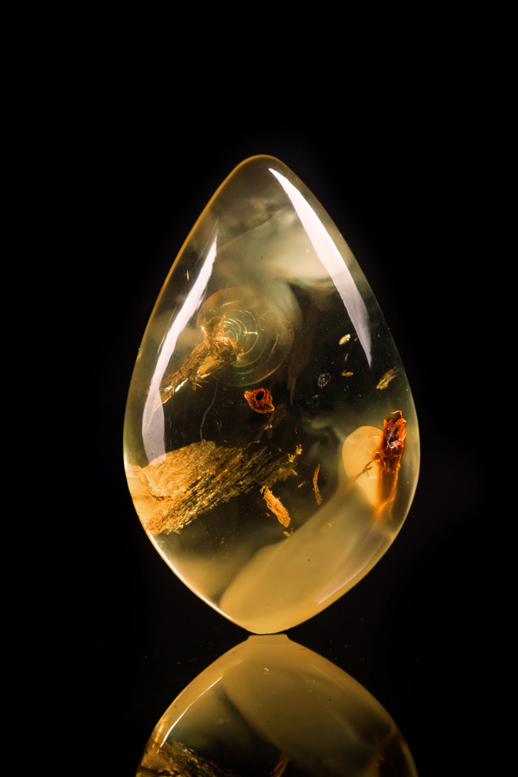 千万年留存下来的虫珀/植物珀/风景珀/水珀 记录生命的痕迹