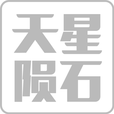西域天星陨石200511